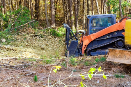 Forestry Mulching in Branch County: When It Beats Traditional Land Clearing