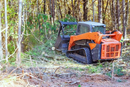 Forest mulching